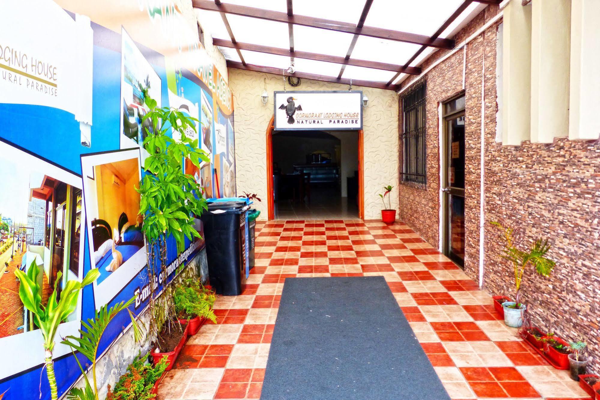Hostal Cormorant Flightless ปูแอร์โตอาโยรา ภายนอก รูปภาพ